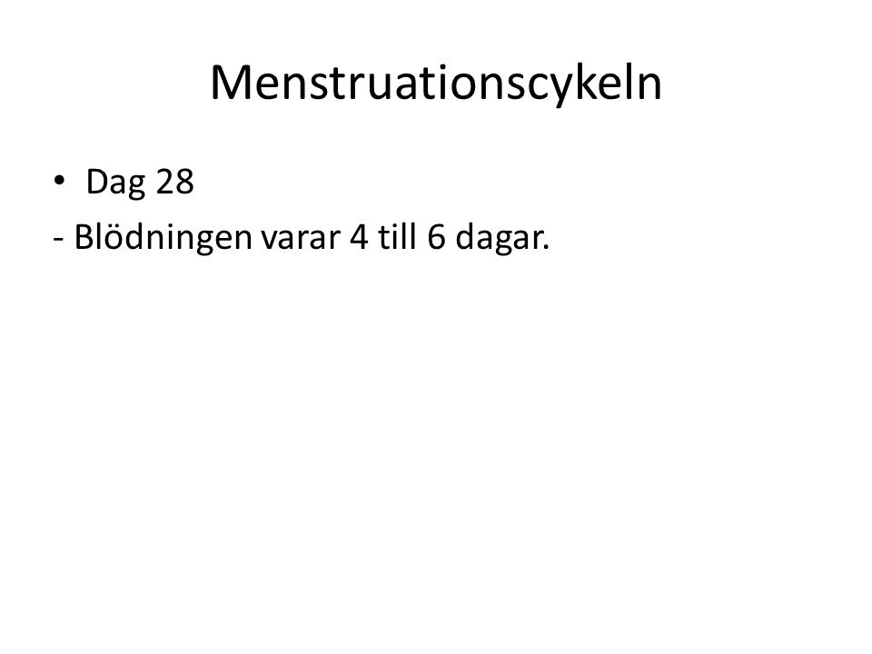Menstruationscykeln Dag 28 - Blödningen varar 4 till 6 dagar.