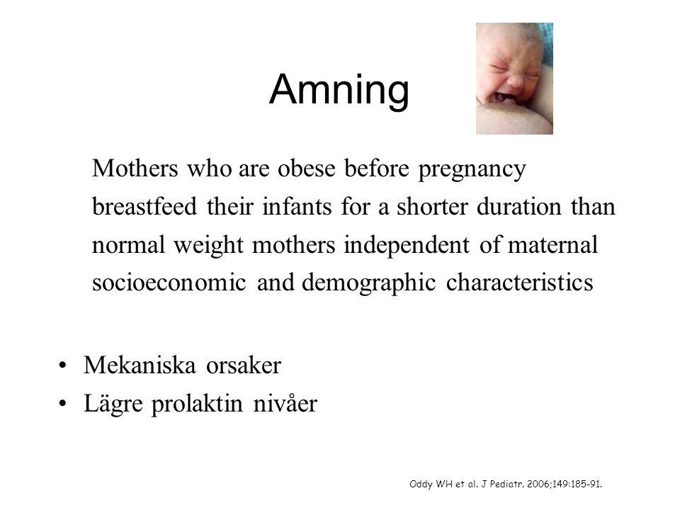 Amning Mothers who are obese before pregnancy
