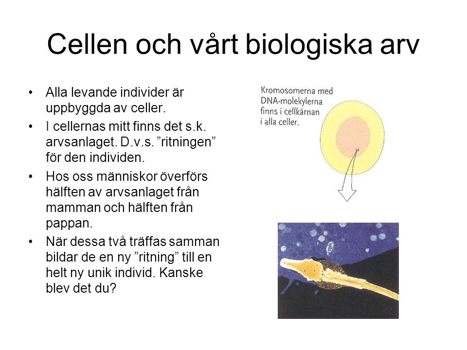 Cellen och vårt biologiska arv