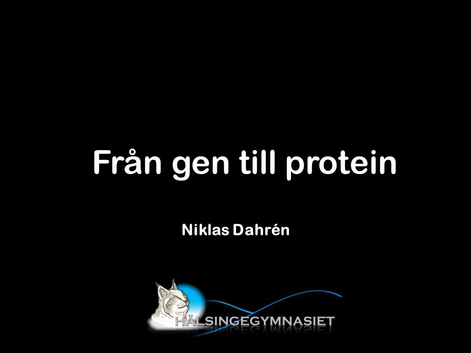 Från gen till protein Niklas Dahrén