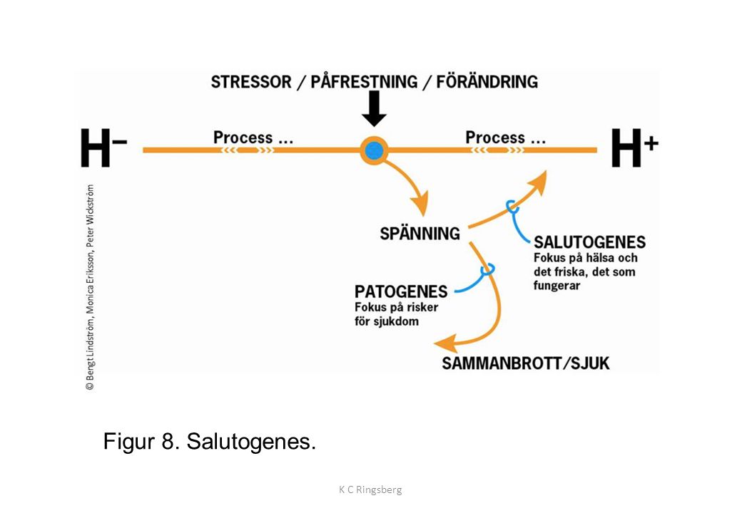 Figur 8. Salutogenes. K C Ringsberg