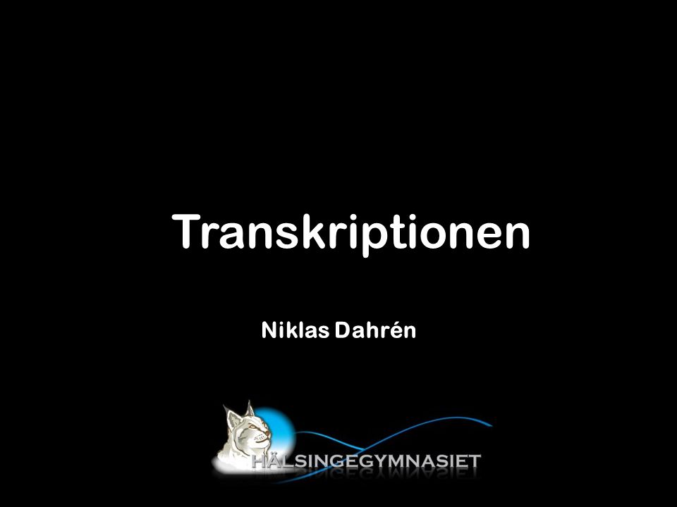 Transkriptionen Niklas Dahrén