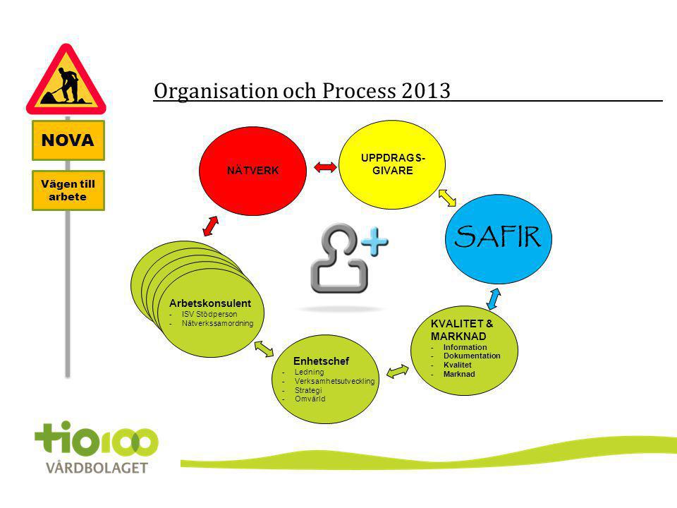 Organisation och Process 2013
