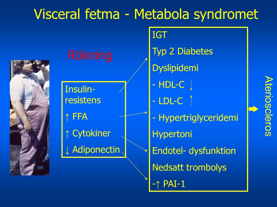 Visceral fetma - Metabola syndromet