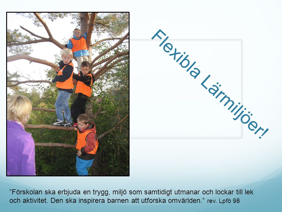 Flexibla Lärmiljöer! Förskolan ska erbjuda en trygg, miljö som samtidigt utmanar och lockar till lek.