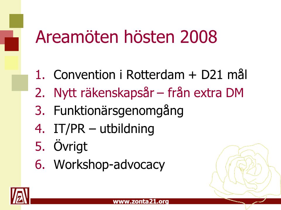 Areamöten hösten 2008 Convention i Rotterdam + D21 mål
