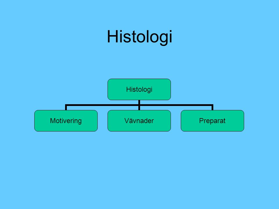 Histologi