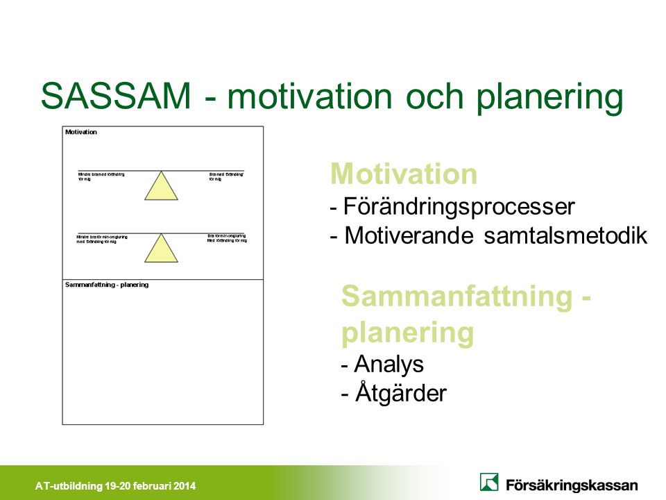 SASSAM - motivation och planering