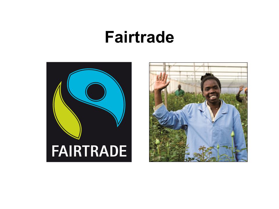 Fairtrade Bilden är från Kenya