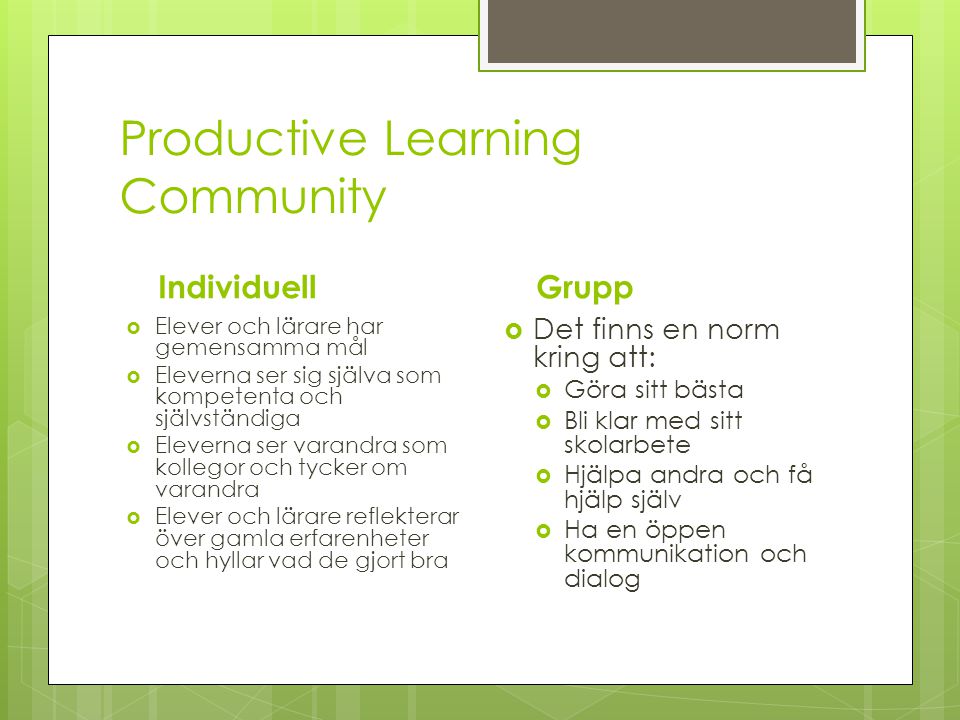 Productive Learning Community