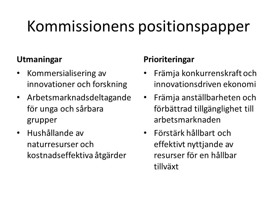 Kommissionens positionspapper