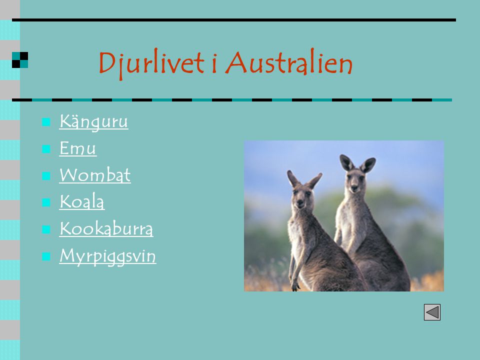Djurlivet i Australien