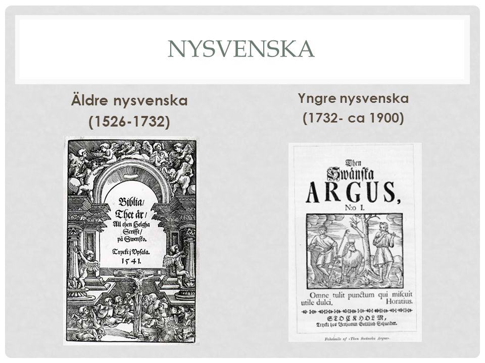nysvenska Äldre nysvenska ( ) Yngre nysvenska (1732- ca 1900)