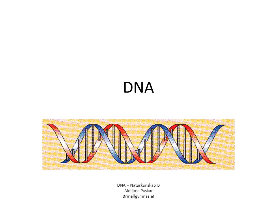 DNA DNA – Naturkunskap B Aldijana Puskar Brinellgymnasiet