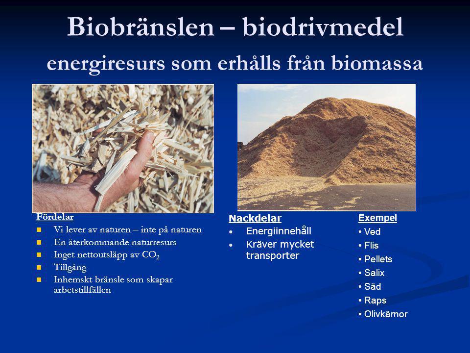 Biobränslen – biodrivmedel energiresurs som erhålls från biomassa