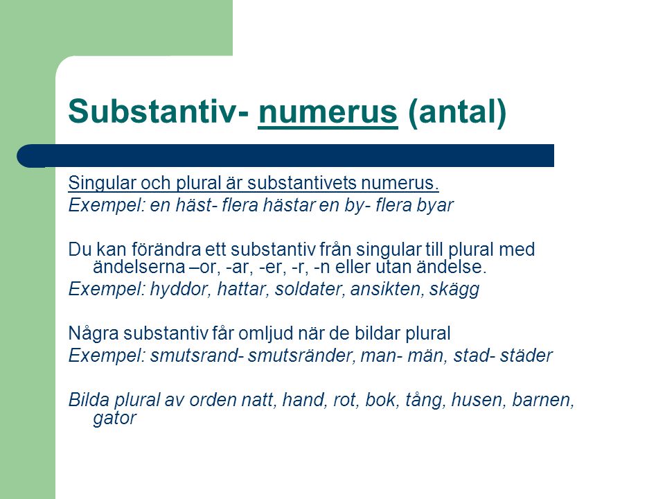 Substantiv- numerus (antal)