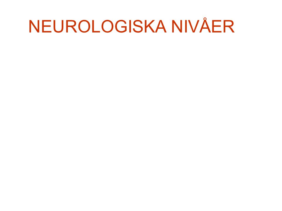 NEUROLOGISKA NIVÅER