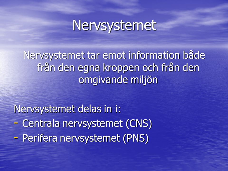 Nervsystemet Nervsystemet tar emot information både från den egna kroppen och från den omgivande miljön.