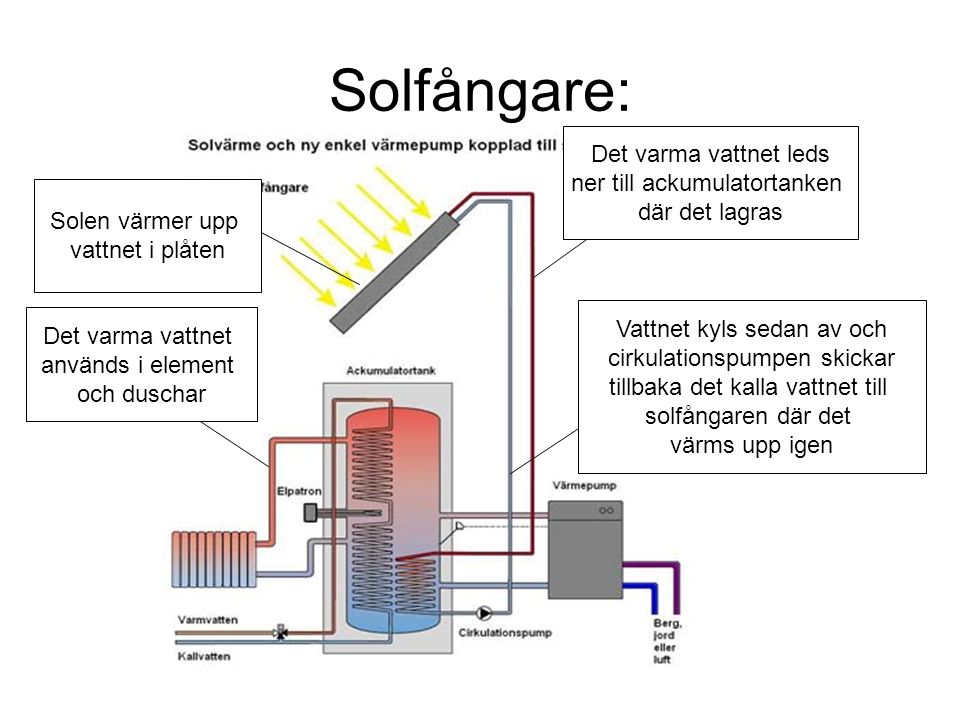 Solfångare: Det varma vattnet leds ner till ackumulatortanken