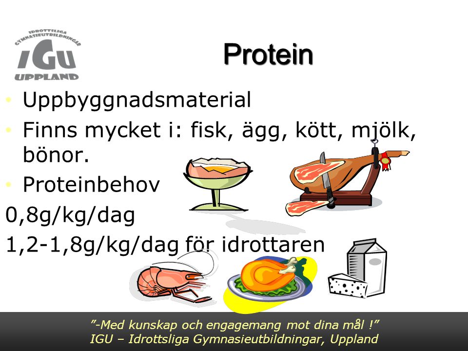 Protein Uppbyggnadsmaterial