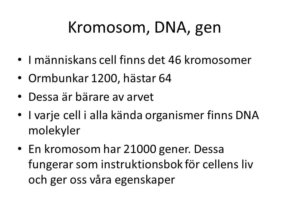 Kromosom, DNA, gen I människans cell finns det 46 kromosomer