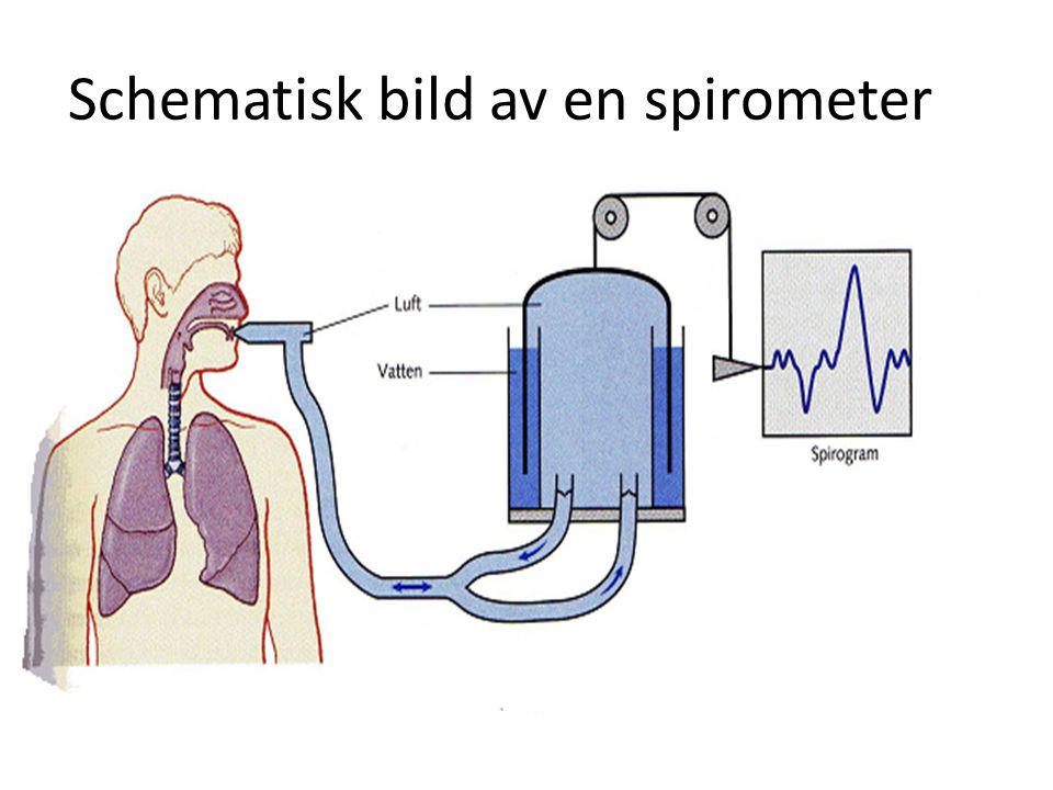 Schematisk bild av en spirometer