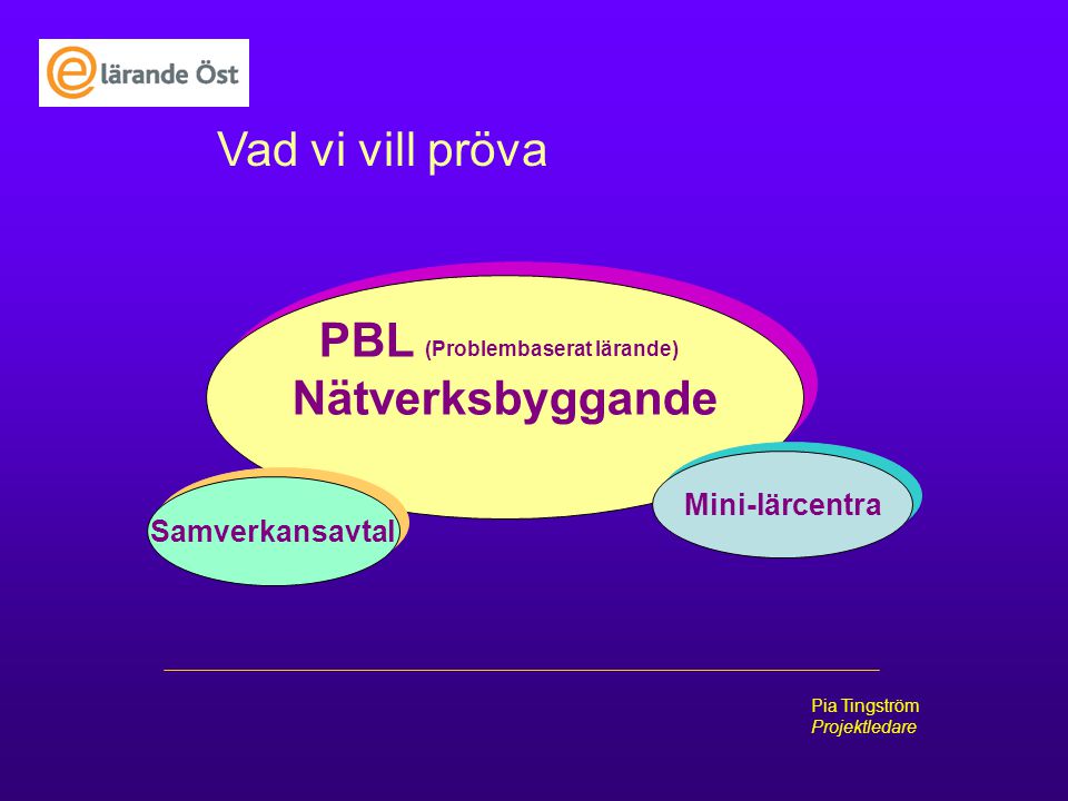PBL (Problembaserat lärande)