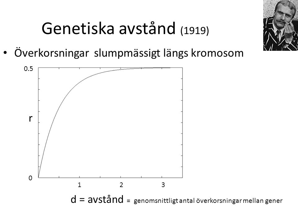 Genetiska avstånd (1919) Överkorsningar slumpmässigt längs kromosom r
