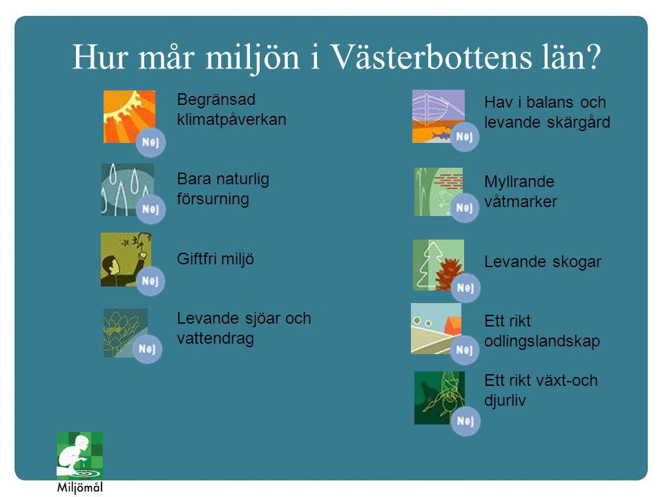 Hur mår miljön i Västerbottens län