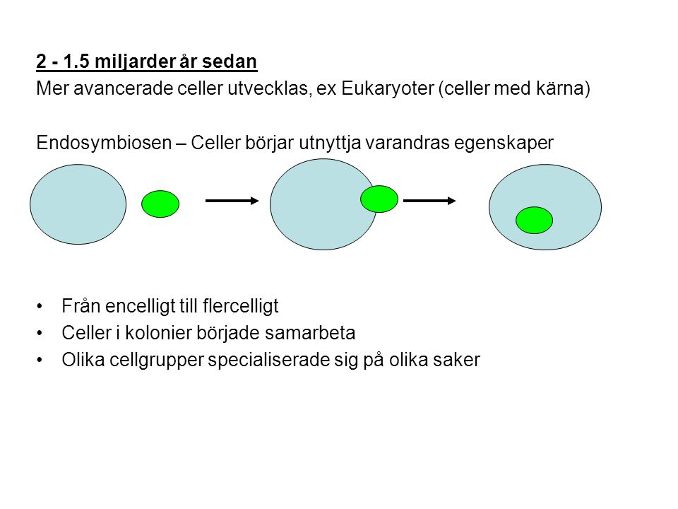 miljarder år sedan Mer avancerade celler utvecklas, ex Eukaryoter (celler med kärna)