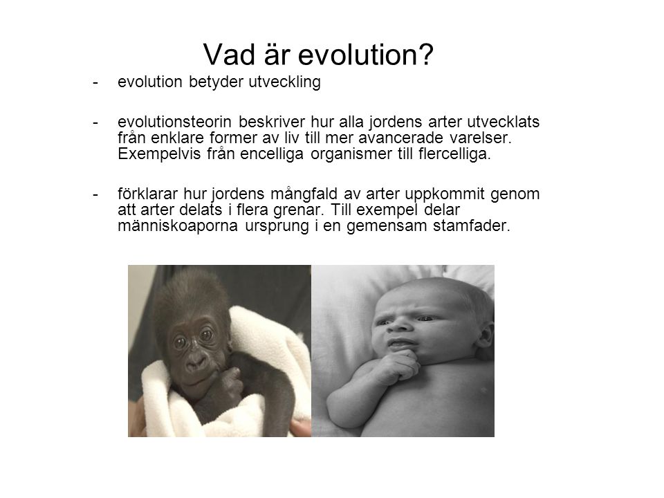 Vad är evolution evolution betyder utveckling