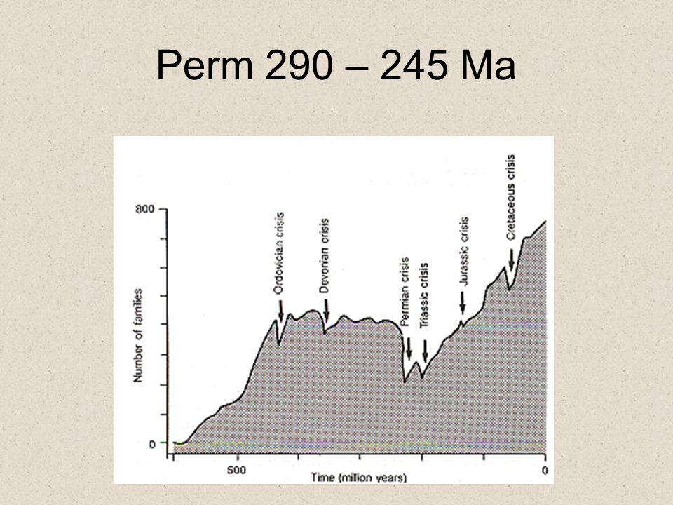 Perm 290 – 245 Ma