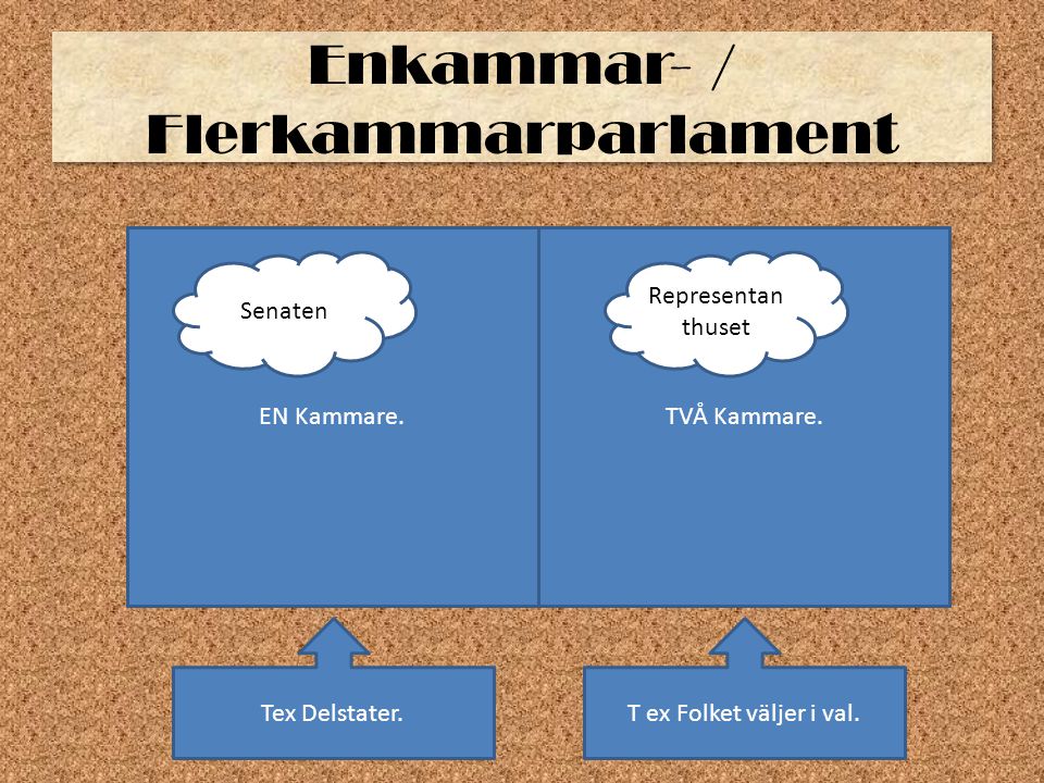 Enkammar- / Flerkammarparlament