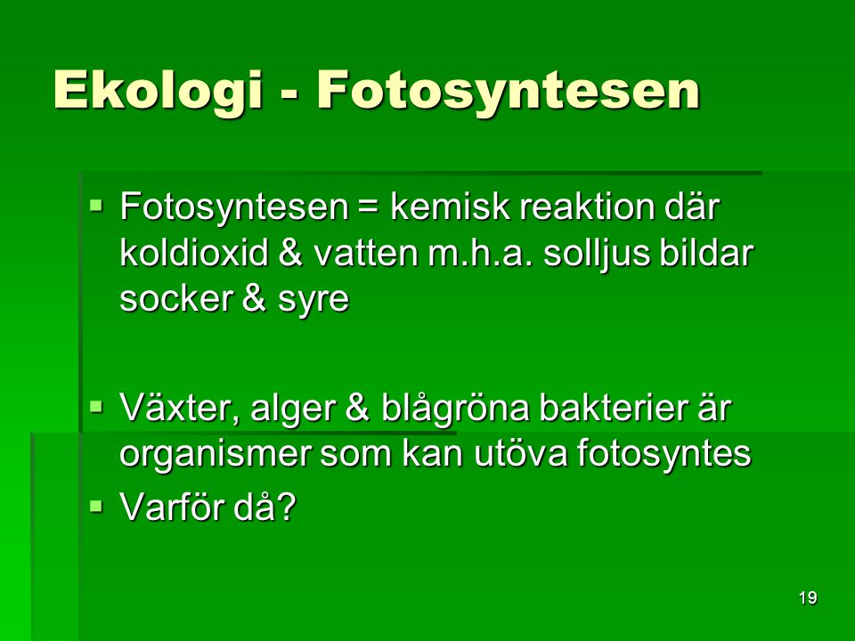 Ekologi - Fotosyntesen