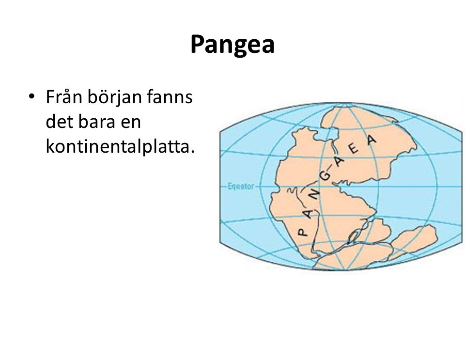 Pangea Från början fanns det bara en kontinentalplatta.