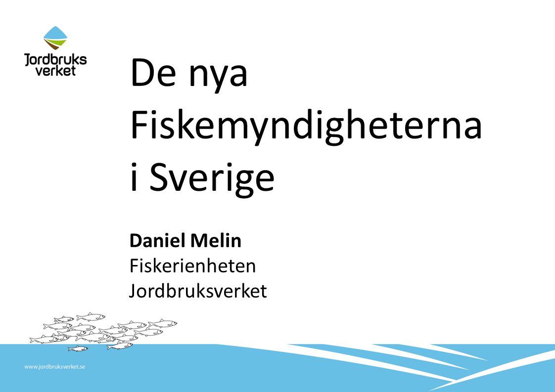 De nya Fiskemyndigheterna i Sverige
