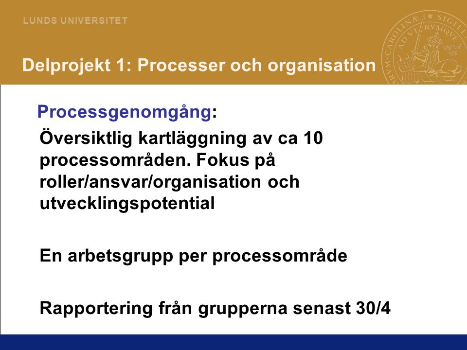 Delprojekt 1: Processer och organisation