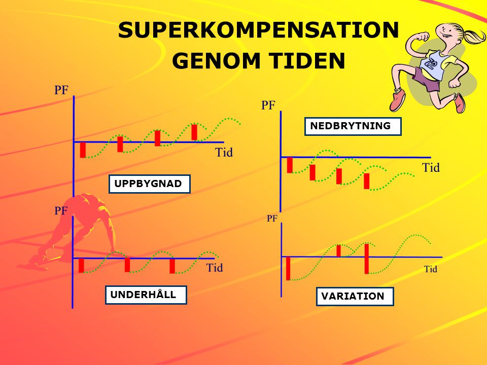 SUPERKOMPENSATION GENOM TIDEN
