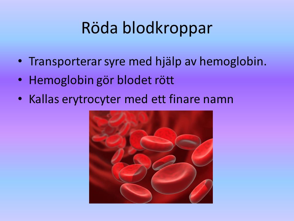 Röda blodkroppar Transporterar syre med hjälp av hemoglobin.