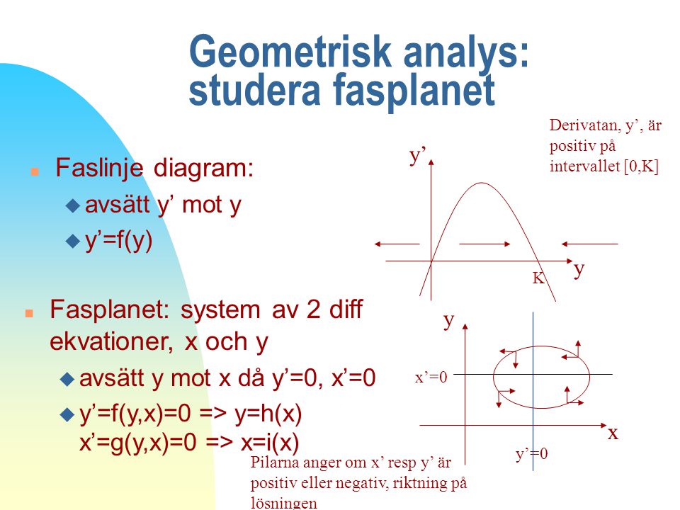 Geometrisk analys: studera fasplanet