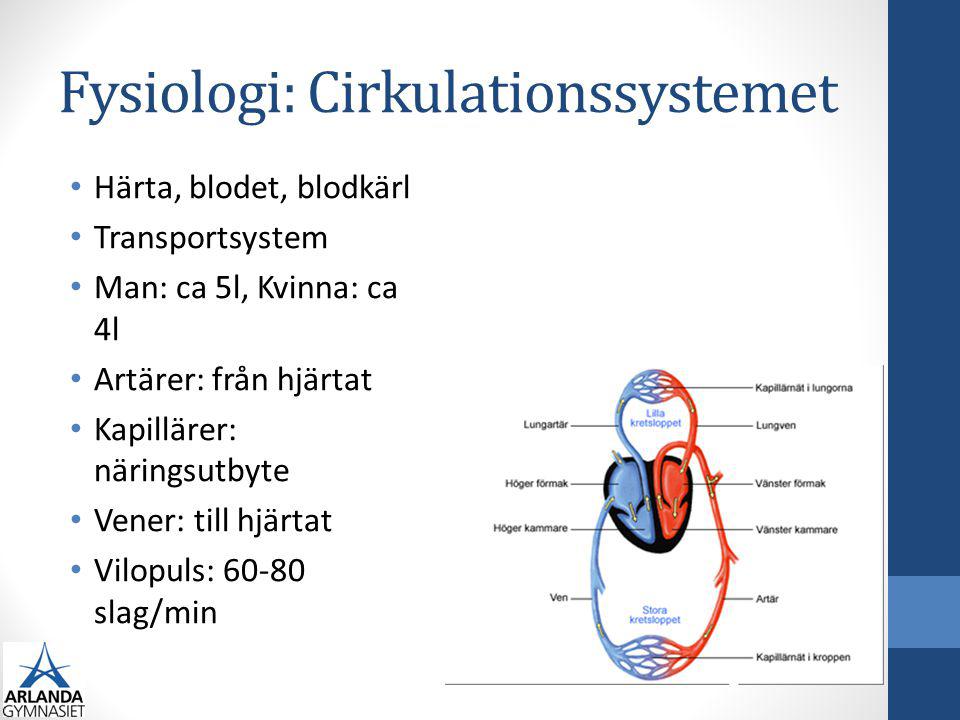 Fysiologi: Cirkulationssystemet