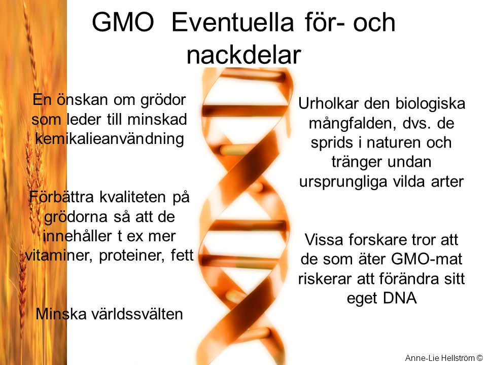 GMO Eventuella för- och nackdelar