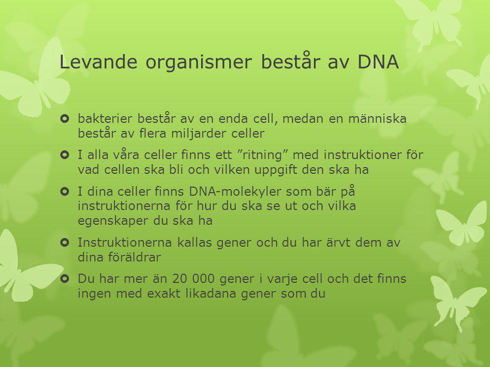 Levande organismer består av DNA