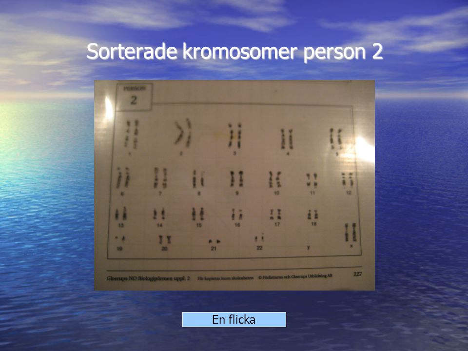 Sorterade kromosomer person 2