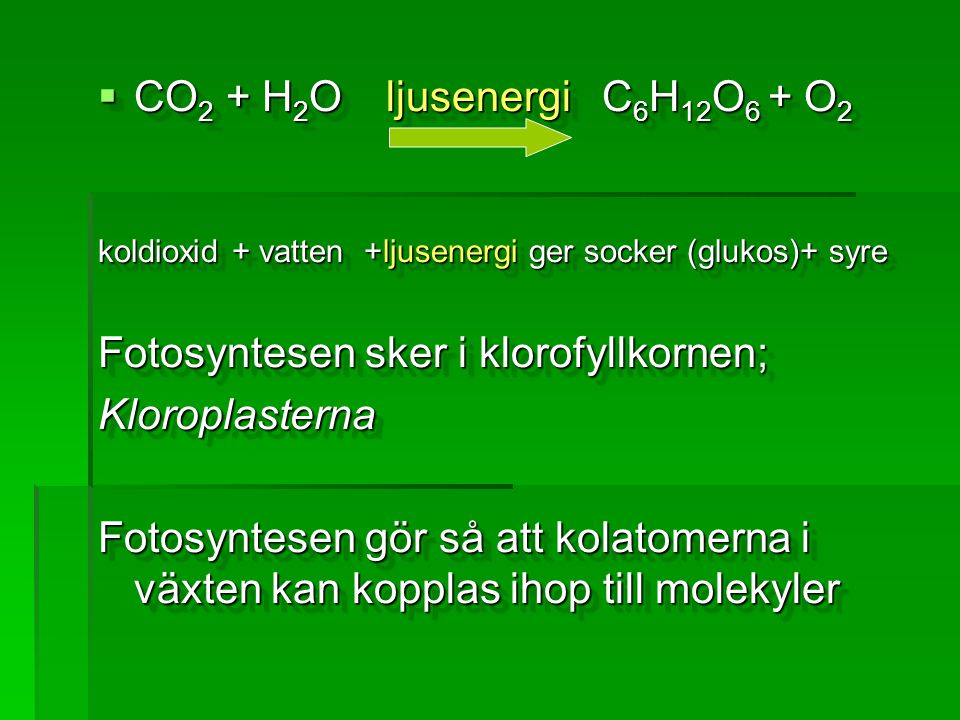 CO2 + H2O ljusenergi C6H12O6 + O2