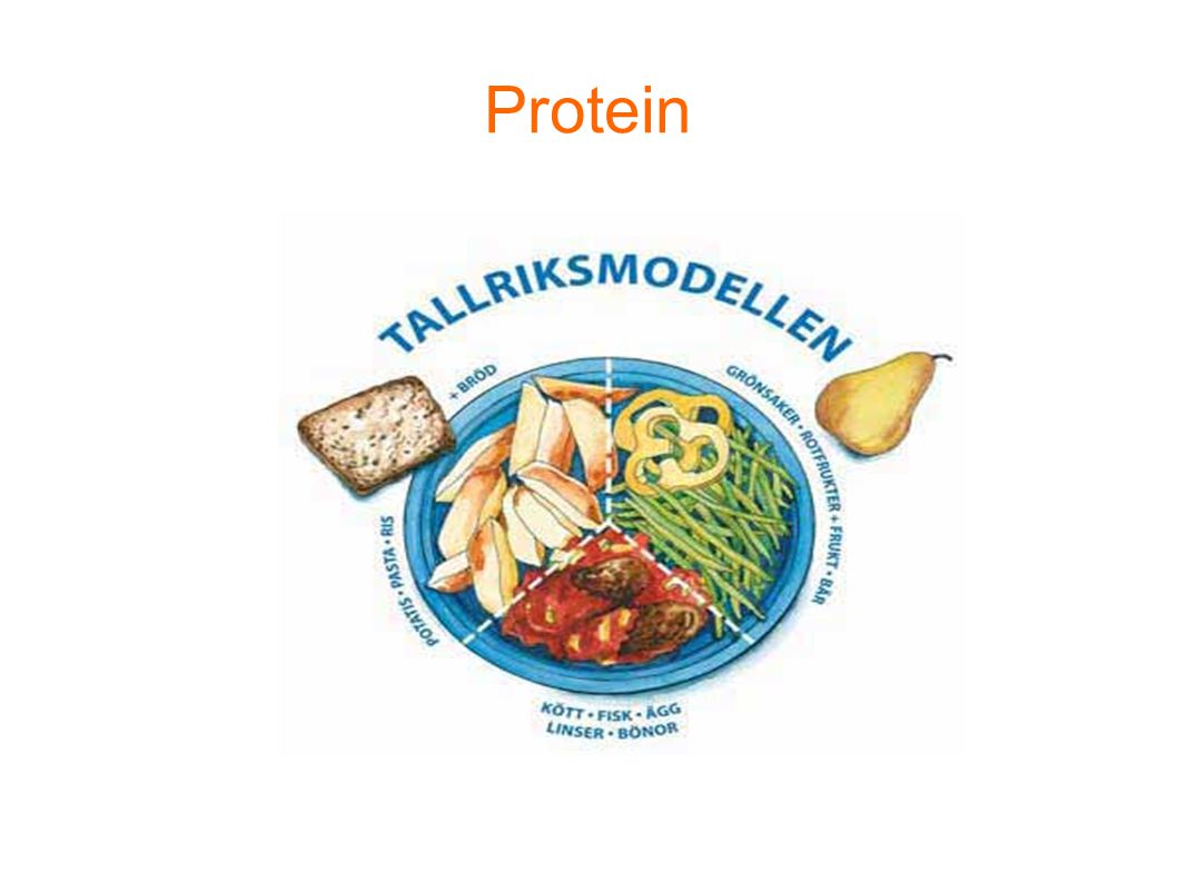 Protein Tänk tallriksmodellen vid lunch och middag. Hur lägger du upp maten på tallriken Våga testa det okända!