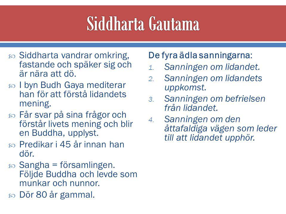 Siddharta Gautama Siddharta vandrar omkring, fastande och späker sig och är nära att dö.