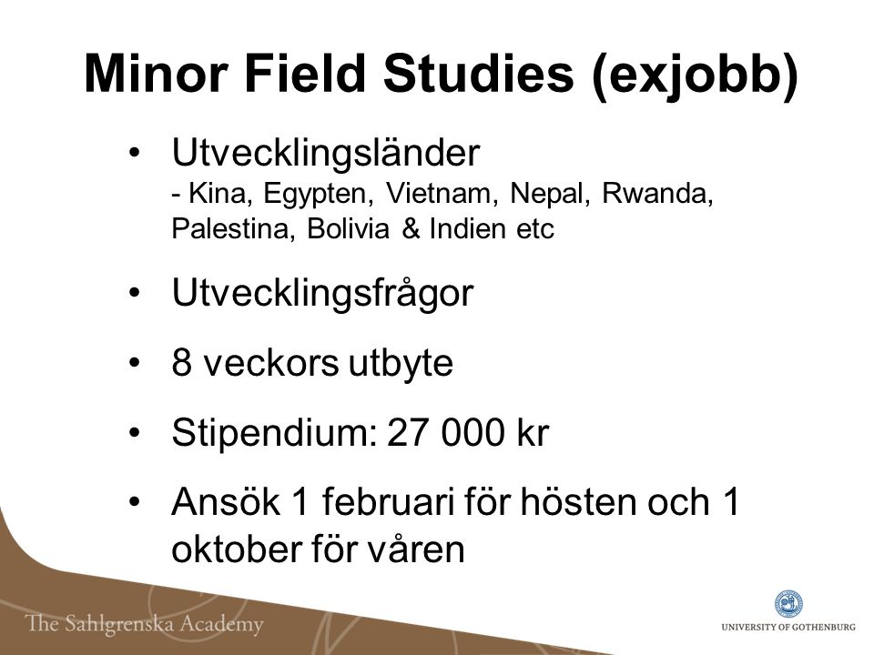 Minor Field Studies (exjobb)