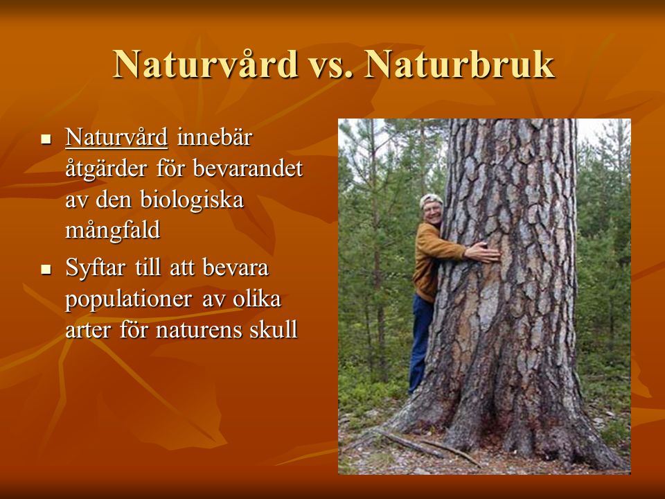 Naturvård vs. Naturbruk