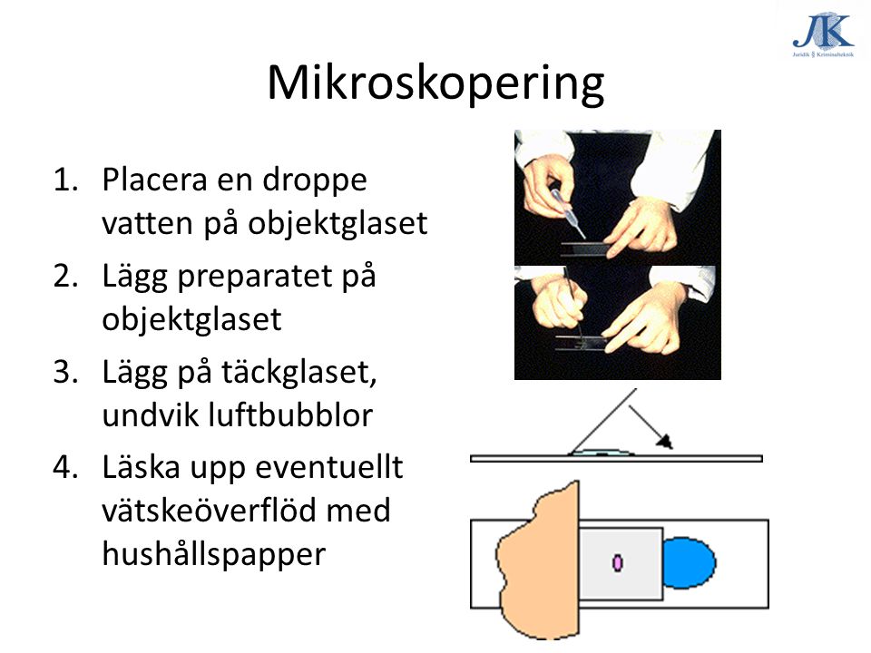 Mikroskopering Placera en droppe vatten på objektglaset